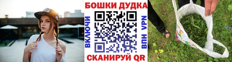 Псилоцибиновые грибы Кондрово