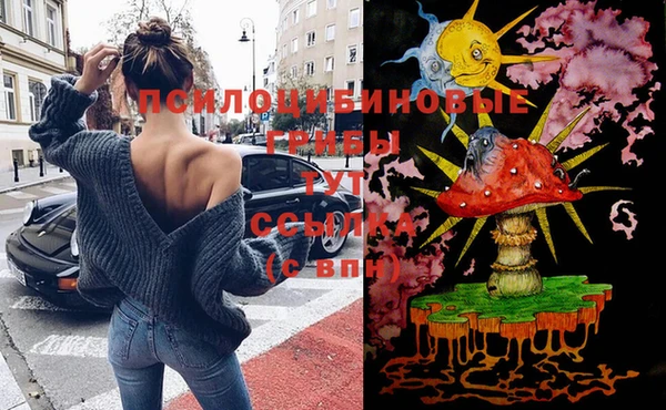 бошки Верхний Тагил